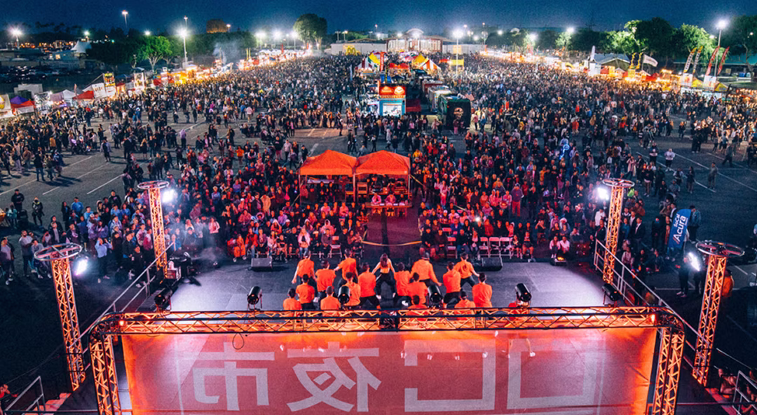 The Vibe: Beyond the Bloom