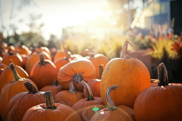 Your OC October Culture & Arts Guide