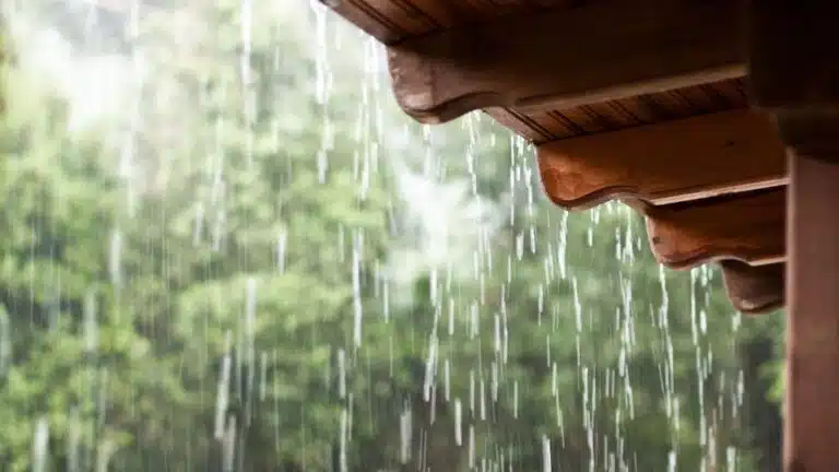 Get Your Home Ready for the Rainy Season
